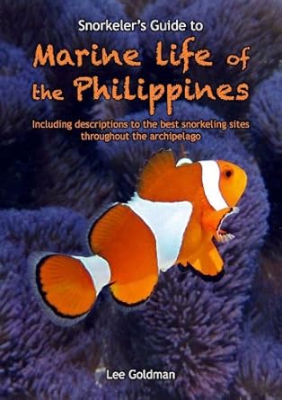 snorkelers guide to marine life of the philippines 1st edition lee goldman 971032134x, 978-9710321346