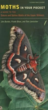 moths in your pocket a guide to the saturn and sphinx moths of the upper midwest 1st edition jim durbin