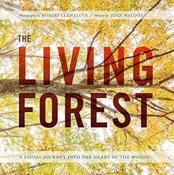 the living forest a visual journey into the heart of the woods 1st edition robert llewellyn ,joan maloof