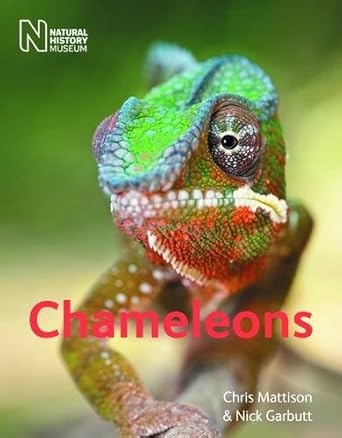 chameleons christopher mattison and nick garbutt 1st edition christopher mattison 0565092901, 978-0565092900