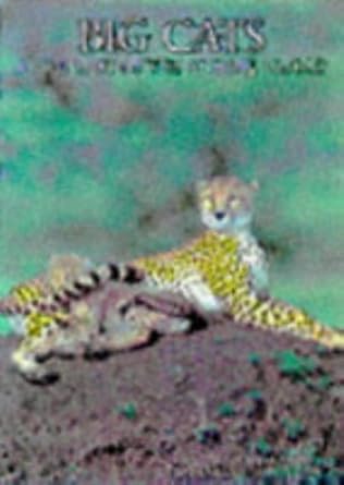 big cats a portrait of the animal world 1st edition  1880908271, 978-1880908273