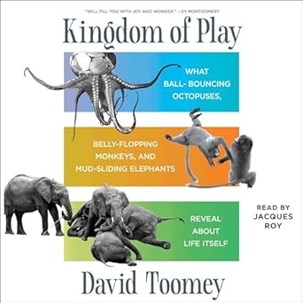 kingdom of play what ball bouncing octopuses belly flopping monkeys and mud sliding elephants reveal about