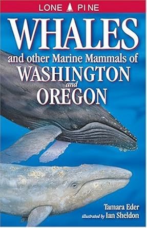 whales and other marine mammals of washington and oregon 1st edition tamara eder ,ian sheldon ,gary ross