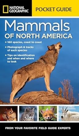 national geographic pocket guide to the mammals of north america 1st edition catherine herbert howell ,jared