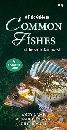 a field guide to common fishes of the pacific northwest 1st edition andy lamb ,bernard hanby ,phil edgell