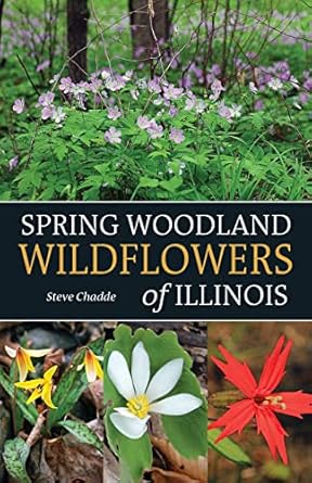 spring woodland wildflowers of illinois 1st edition steve chadde 1951682564, 978-1951682569