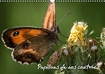 papillons de nos contrees 2017 palette de peintures de la nature 1st edition  1325197327, 978-1325197323