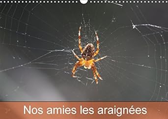 nos amies les araignees 2017 le monde des araignees et des insectes 1st edition julien m 1325135151,