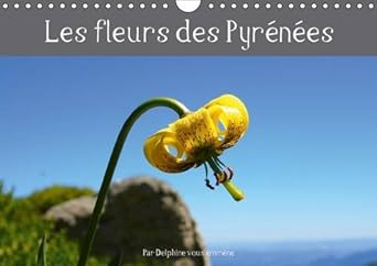 les fleurs des pyrenees 2017 decouvrez les fleurs des pyrenees en photos et leurs noms 1st edition 