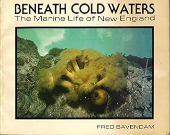 beneath cold waters the marine life of new england 1st edition fred bavendam 0892721847, 978-0892721849