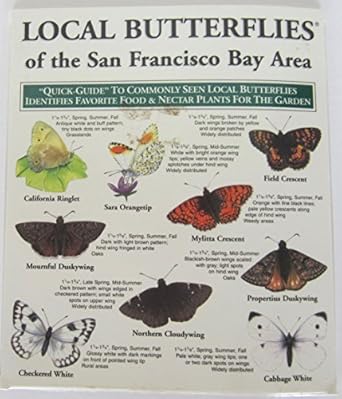 local butterflies of san francisco 1st edition inc local birds 1886403465, 978-1886403468