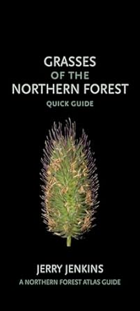 grasses of the northern forest quick guide 1st edition jerry jenkins 1501764314, 978-1501764318