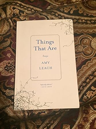 things that are essays 1st edition amy leach 1571313516, 978-1571313515