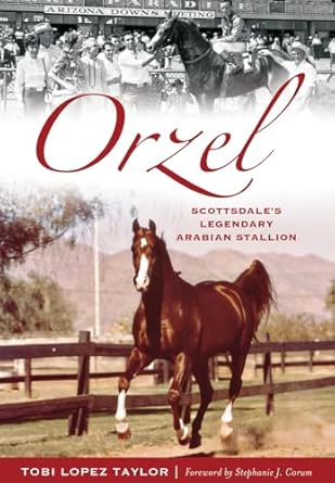 orzel scottsdales legendary arabian stallion 1st edition tobi lopez taylor 1626199620, 978-1626199620