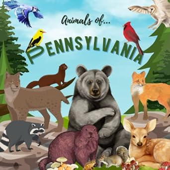 animals of pennsylvania animals in pennsylvania animals of pennsylvania for kids pennsylvania wildlife