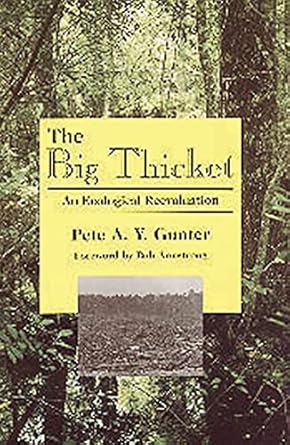 the big thicket an ecological reevaluation 1st edition pete a y gunter ,roy hamric ,bob armstrong 0929398521,