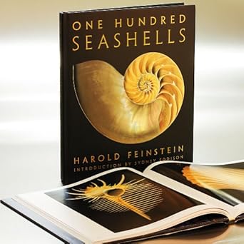 one hundred seashells 1st edition harold feinstein ,sydney eddison 0821262068, 978-0821262061