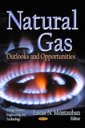 natural gas outlooks and opportunities 1st edition lucas n montauban 1613241321, 978-1613241325