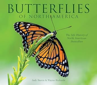 butterflies of north america 1st edition judy burris ,wayne richards 1623439701, 978-1623439705