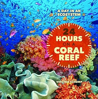 24 hours on a coral reef 1st edition virginia schomp 1627120653, 978-1627120654