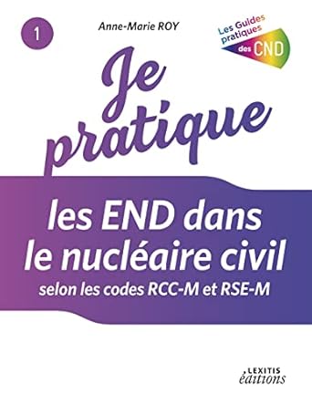 je pratique les end dans le nucleaire civil selon les codes rcc m et rse m 1st edition anne marie roy