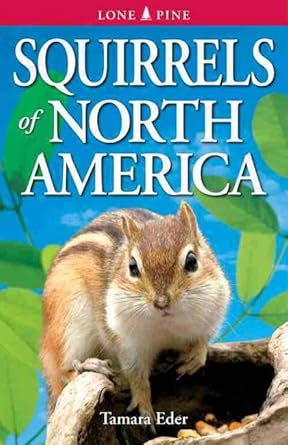 squirrels of north america 1st edition tamara eder 9768200456, 978-9768200457