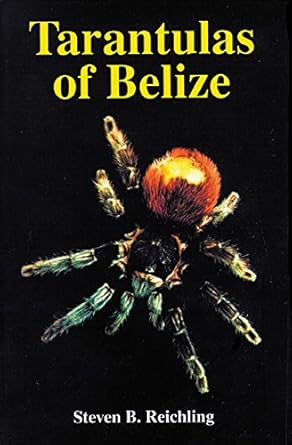 tarantulas of belize 1st edition steven b reichling 1575242281, 978-1575242286