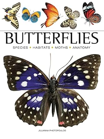 butterflies 1st edition julianna photopoulos 1838863214, 978-1838863210