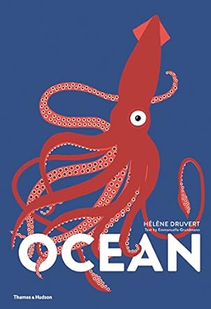 ocean /anglais 1st edition druvert helene 0500651779, 978-0190121099