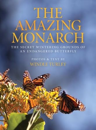 the amazing monarch the secret wintering grounds of an endangered butterfly 1st edition windle turley