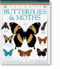 butterflies and moths 1st edition barbara taylor 0789406055, 978-0789406057