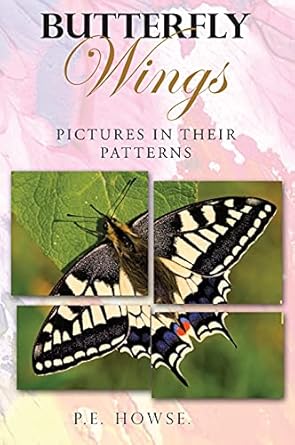 butterfly wings pictures in their patterns 1st edition p e howse 1802270256, 978-1802270259