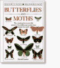 butterflies and moths 1st edition david carter ,frank greenaway 1564580342, 978-1564580344