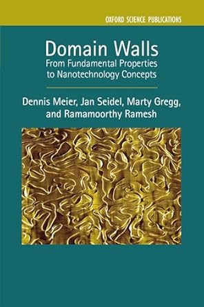 domain walls from fundamental properties to nanotechnology concepts 1st edition dennis meier ,jan seidel