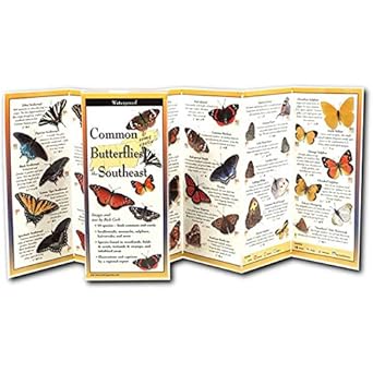 common butterflies of the southeast folding guide 1st edition rick cech 193538001x, 978-1935380016