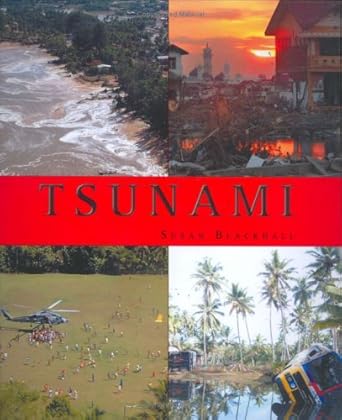 tsunami 1st edition susan blackhall 1844060578, 978-1844060573