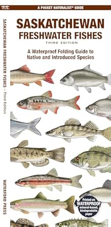 saskatchewan freshwater fishes a folding guide to native and introduced species 1st edition matthew morris