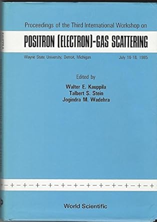 positron electron gas scattering proceedings of the third international workshop 1st edition walter e