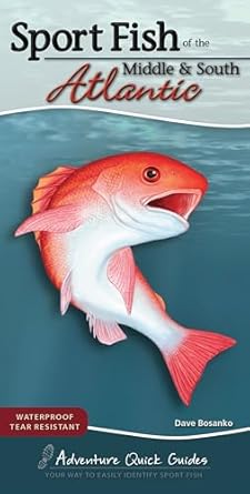 sport fish of the middle and south atlantic including delaware georgia maryland north carolina south carolina