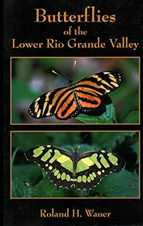 butterflies of the lower rio grande valley 1st edition roland h wauer 1555663478, 978-1555663476