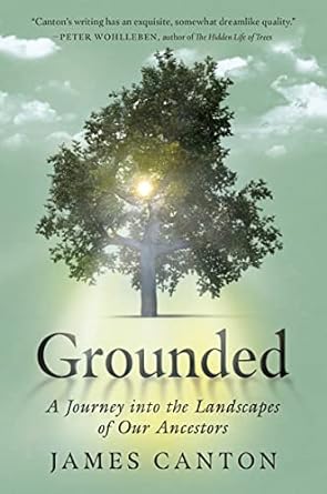 grounded a journey into the landscapes of our ancestors 1st edition james canton 0063212145, 978-0063212145