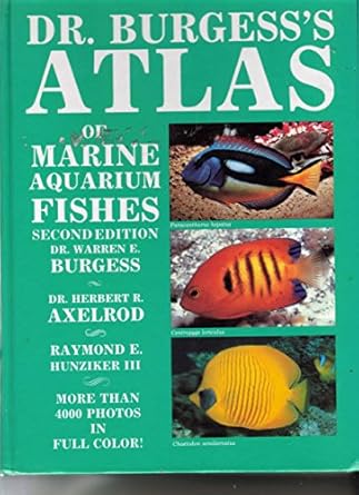 dr burgesss mini atlas of marine aquarium fishes 1st edition warren e burgess ,herbert r axelrod ,ray