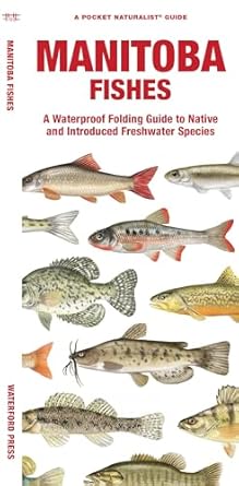 manitoba fishes a folding guide to native and introduced freshwater species 1st edition waterford press
