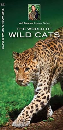 the world of wild cats 1st edition jeff corwin 1583558179, 978-1583558171