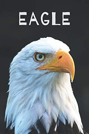 eagle animal notebook for kids and adults journal notes diary drawing and writing poetry 1st edition colorful