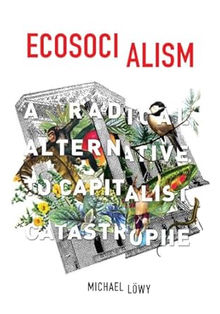 ecosocialism a radical alternative to capitalist catastrophe 1st edition michael lowy 1608464717,