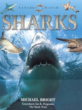 sharks 1st edition laura evert 1559717793, 978-1559717793