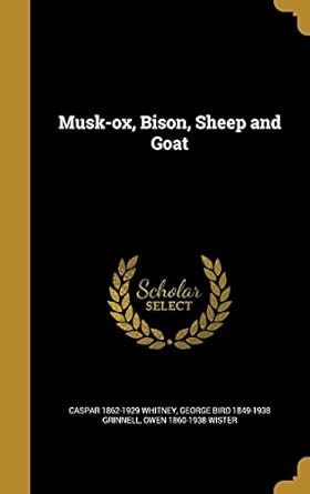 musk ox bison sheep and goat 1st edition caspar 1862 1929 whitney ,george bird 1849 1938 grinnell ,owen 1860