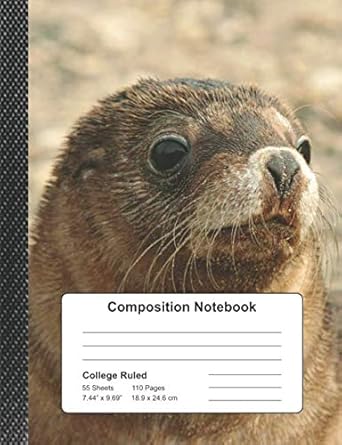 composition notebook a cute seal college ruled blank lined journal for students kids and teens at school work
