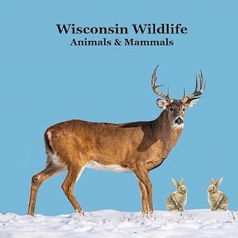 wisconsin animals and mammals wildlife book great wisconsin animals book with lifelike images and fun facts